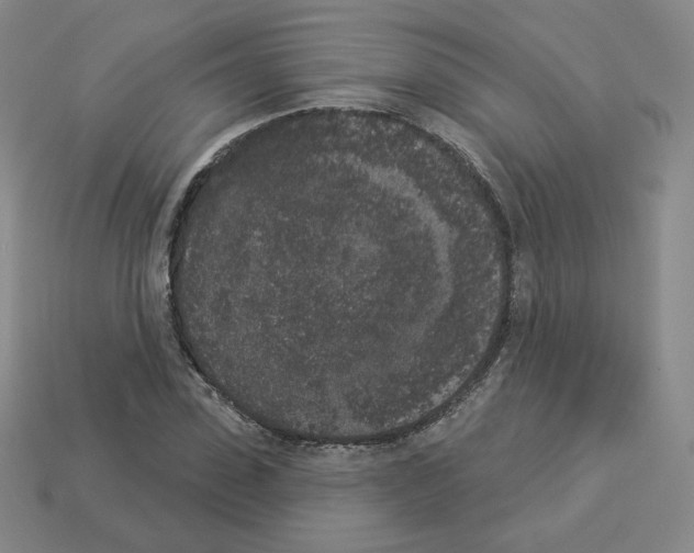 X0000112860923200910021308