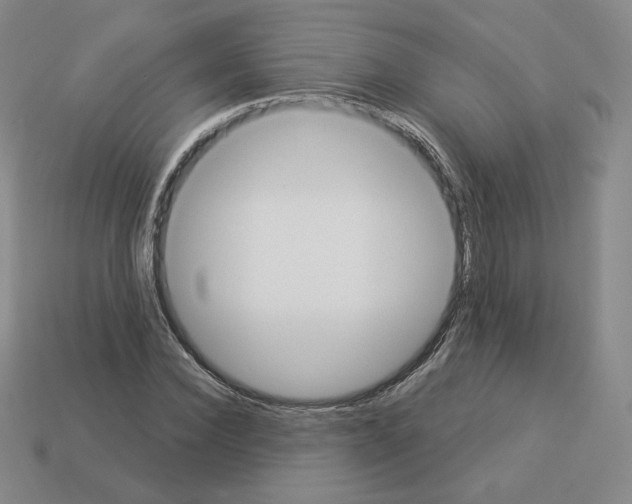 X0000112860924200910021308