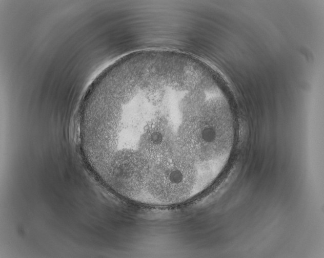 X0000112860925200910021308