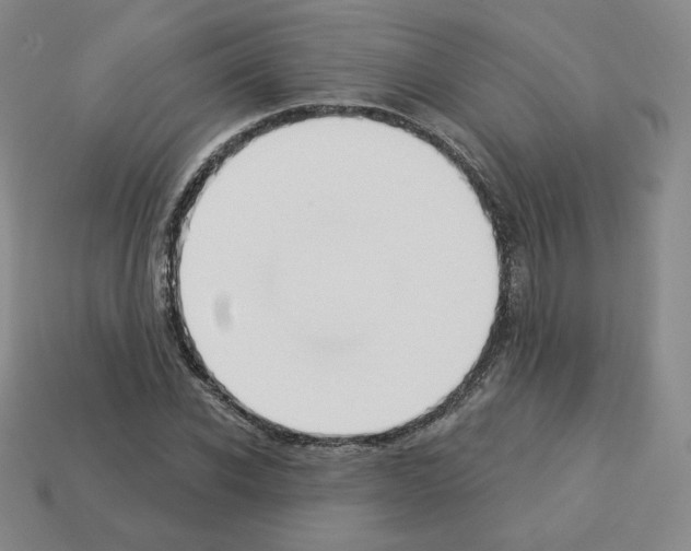 X0000112860926200910021308