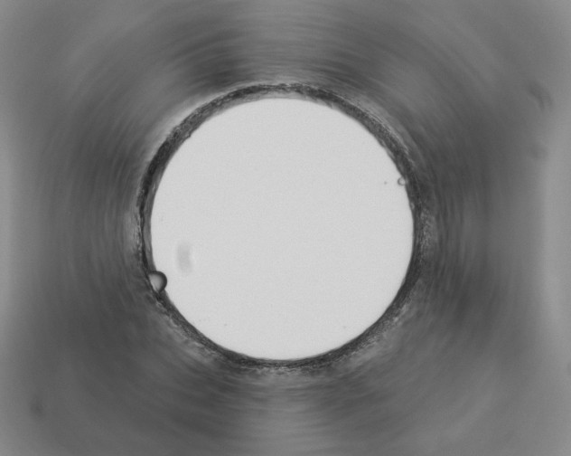 X0000112860927200910021308
