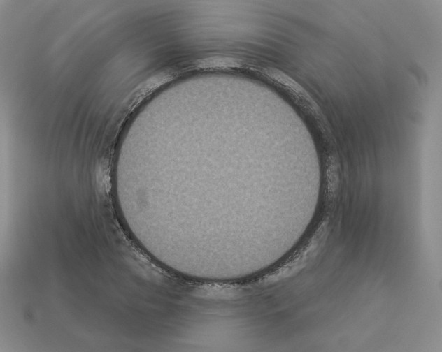 X0000112860929200910021308
