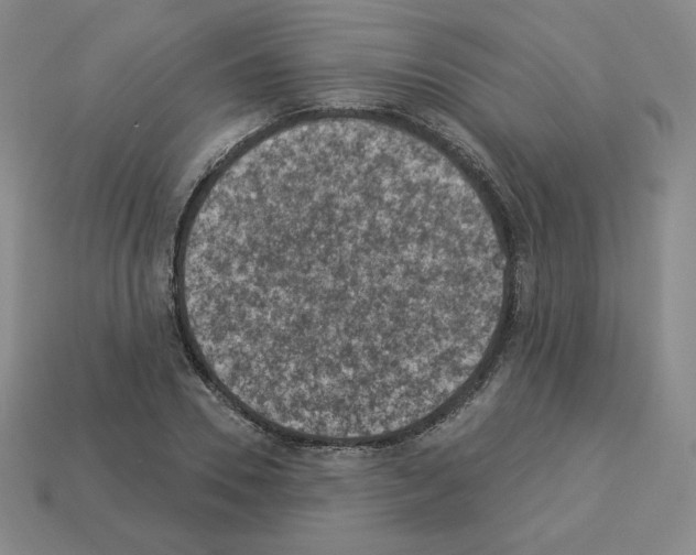 X0000112860930200910021308