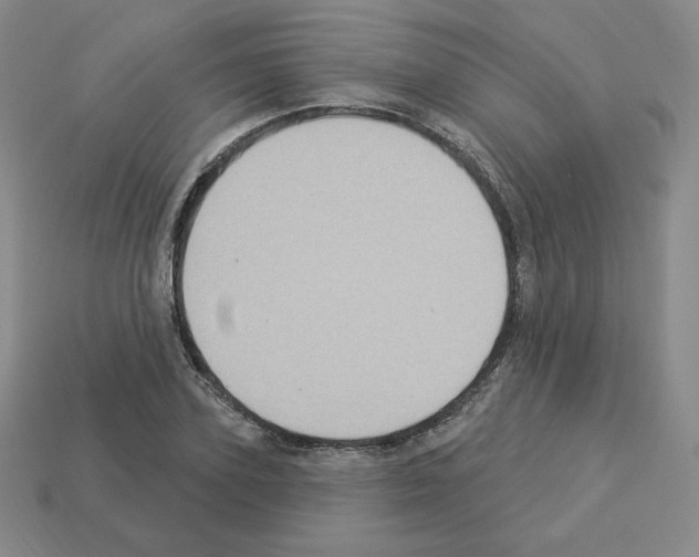 X0000112860931200910021308