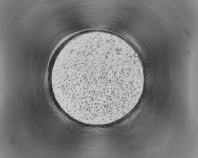 X0000112860932200910021308