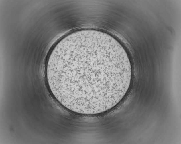 X0000112860933200910021308
