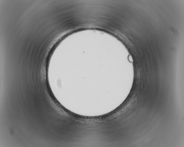 X0000112860934200910021309