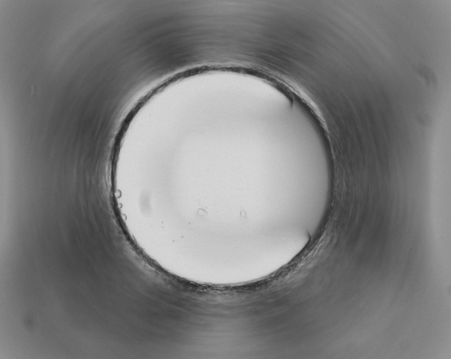 X0000112860935200910021309