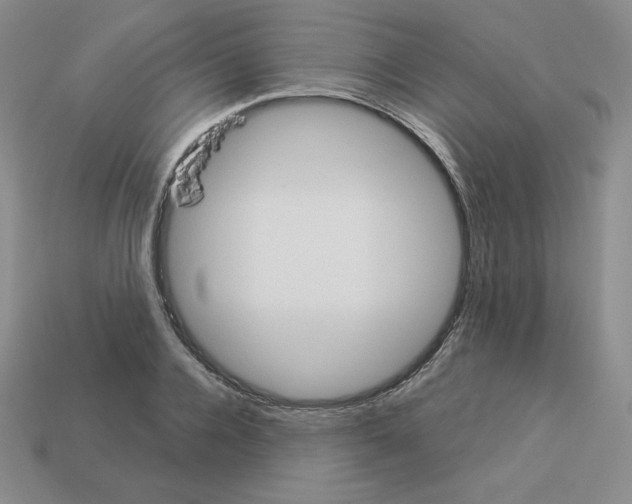 X0000112860936200910021309