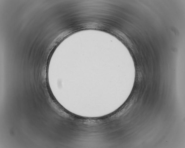 X0000112860938200910021309