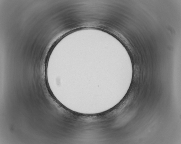 X0000112860939200910021309