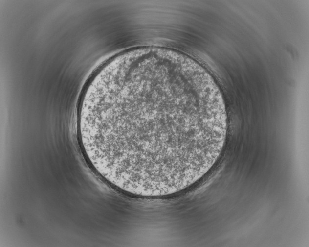 X0000112860940200910021309
