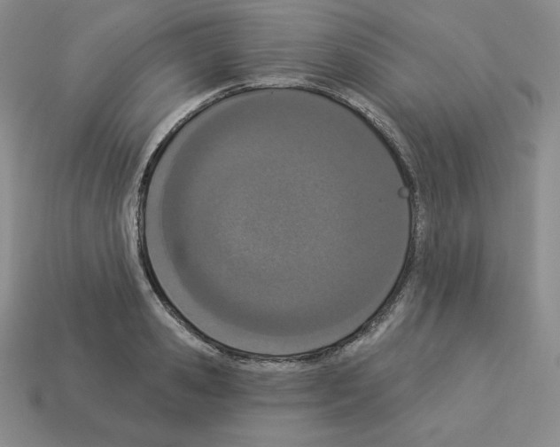 X0000112860941200910021309