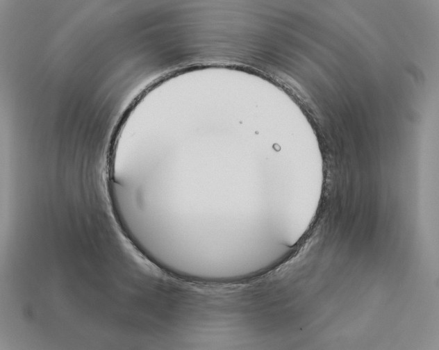 X0000112860942200910021309