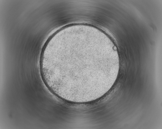 X0000112860943200910021309