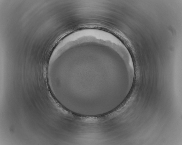 X0000112860945200910021309