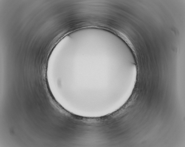 X0000112860946200910021309