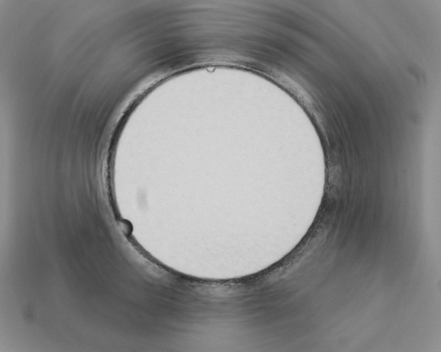 X0000112860947200910021309