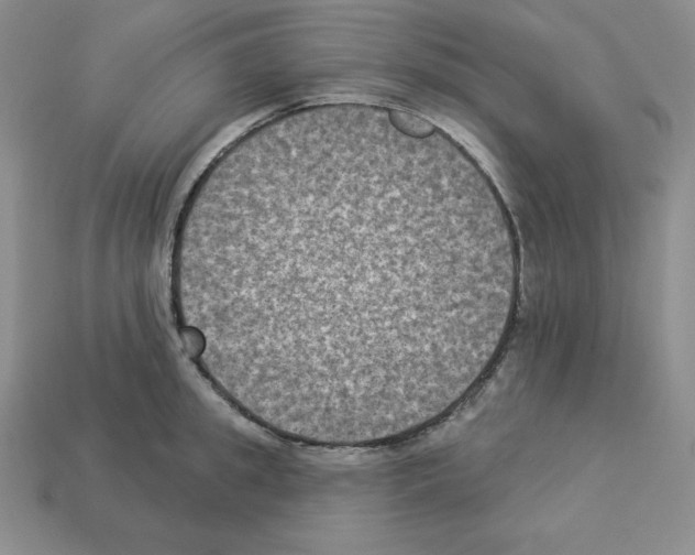 X0000112860949200910021309