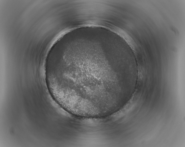 X0000112860950200910021309