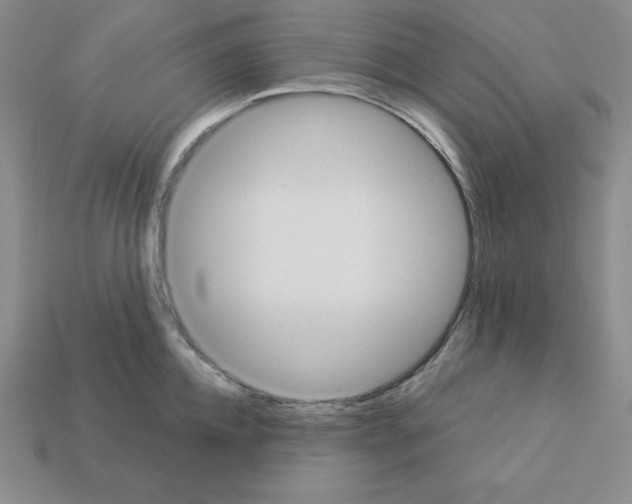 X0000112860952200910021309
