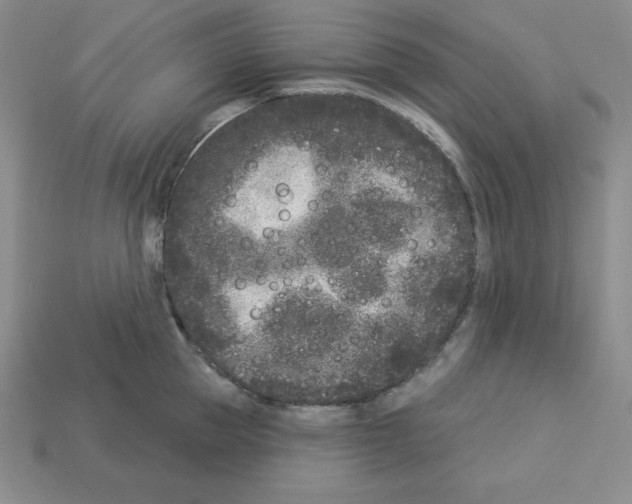 X0000112860953200910021309