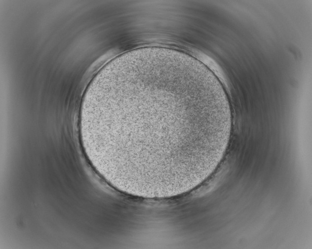 X0000112860954200910021309