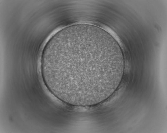 X0000112860955200910021309