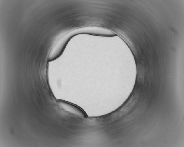 X0000112860956200910021309