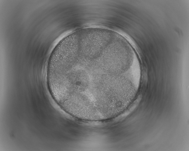 X0000112860957200910021309