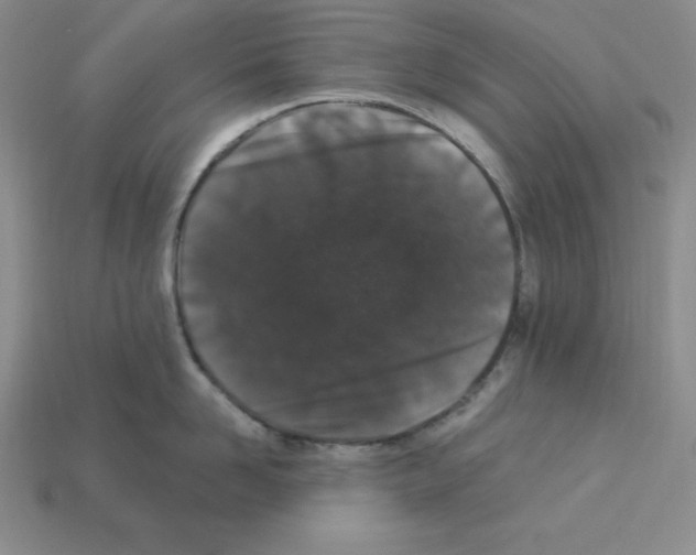 X0000112860958200910021309