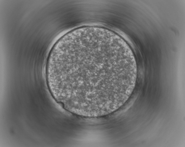 X0000112860959200910021309
