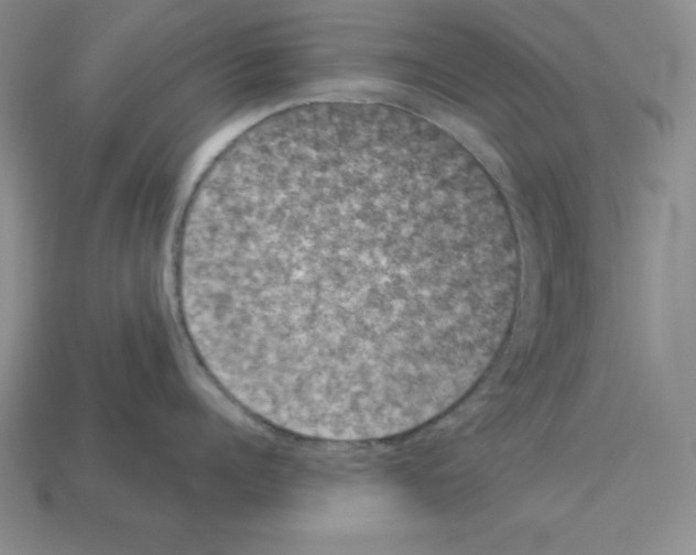 X0000112860960200910021309
