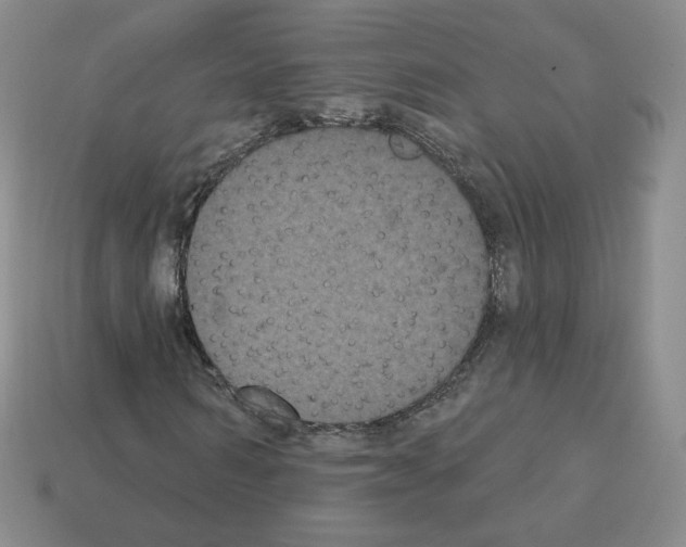 X0000112860962200910021308