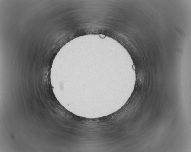 X0000112860964200910021308