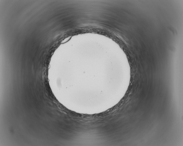 X0000112860965200910021308