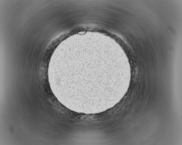 X0000112860967200910021308