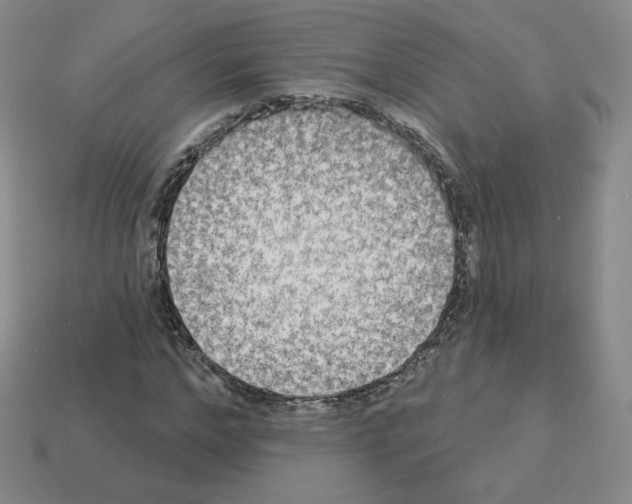 X0000112860968200910021308