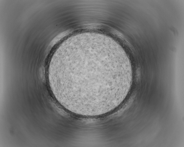 X0000112860970200910021308