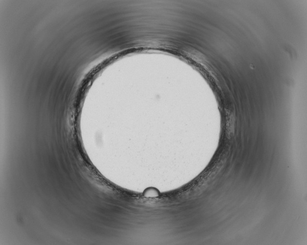 X0000112860971200910021308