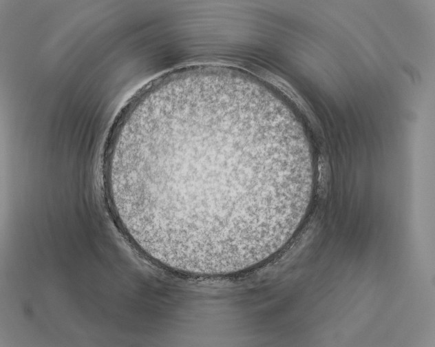 X0000112860972200910021308