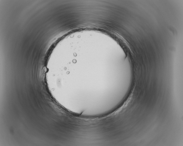 X0000112860973200910021308