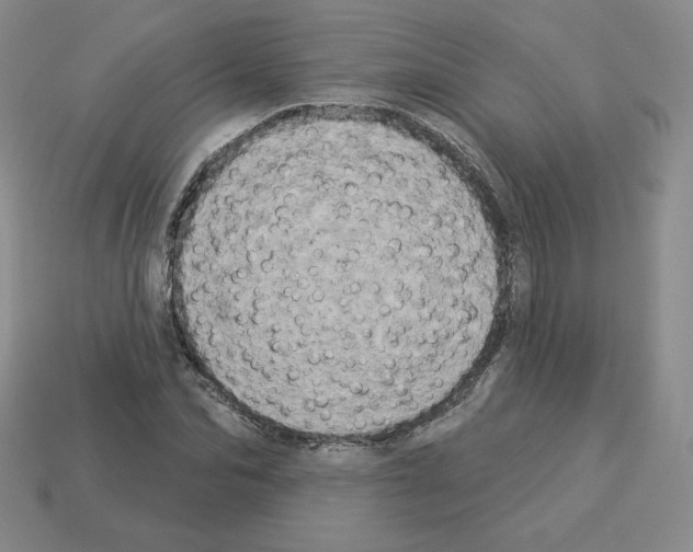 X0000112860974200910021308