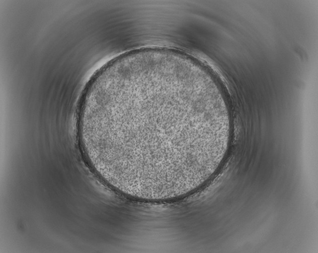 X0000112860975200910021308