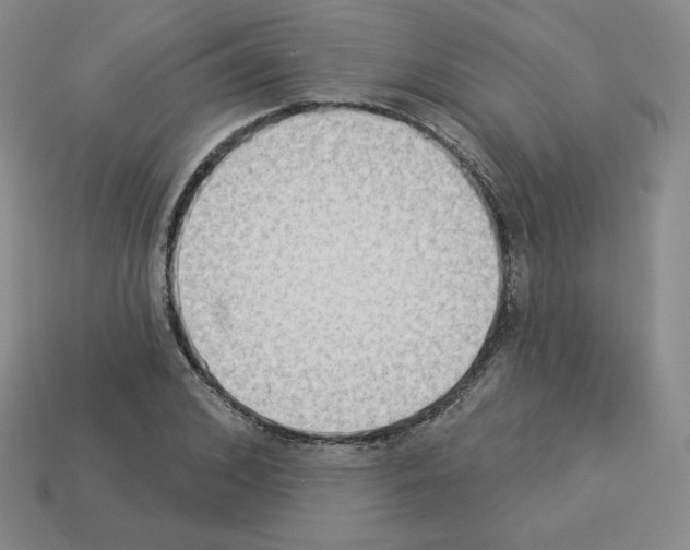 X0000112860976200910021308