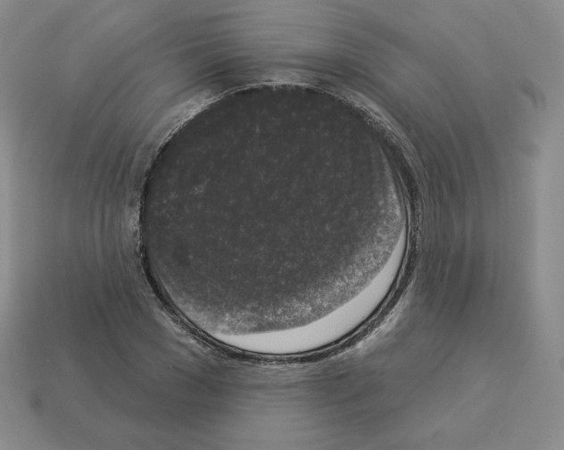 X0000112860977200910021308