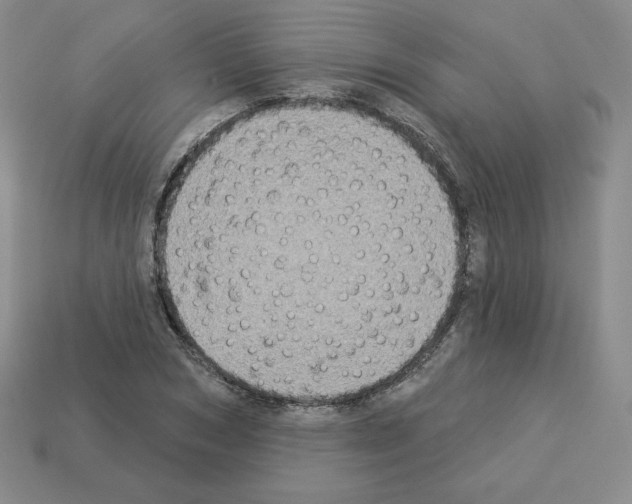 X0000112860978200910021308