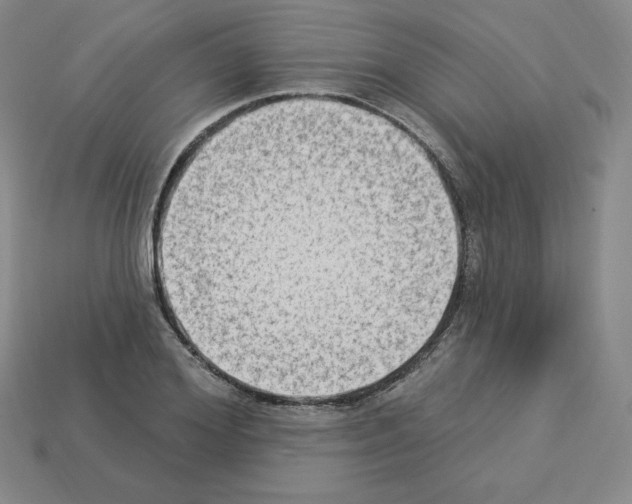 X0000112860980200910021308