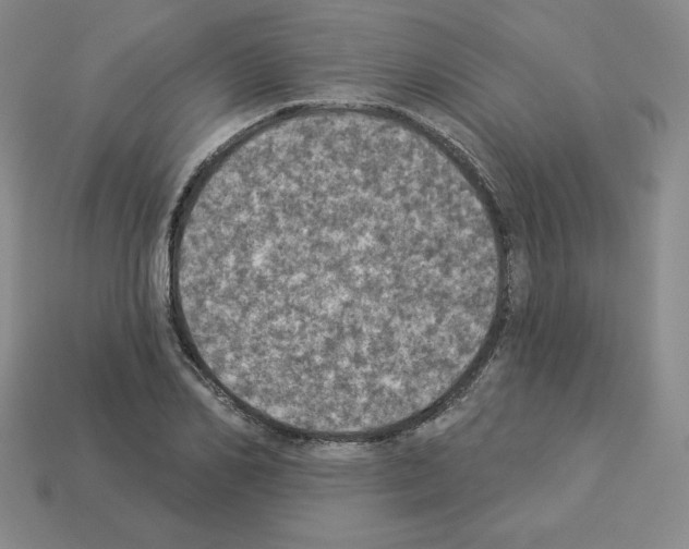 X0000112860982200910021308