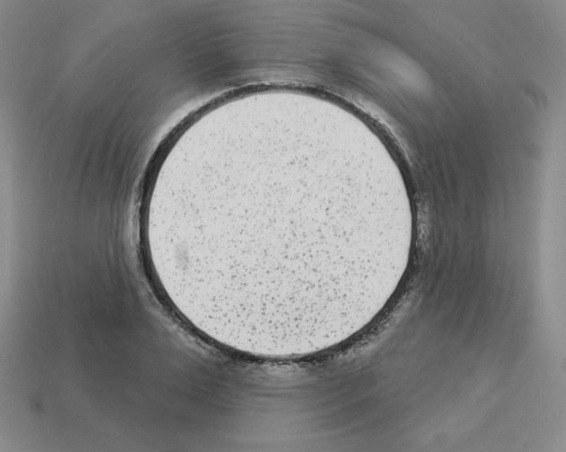 X0000112860983200910021308